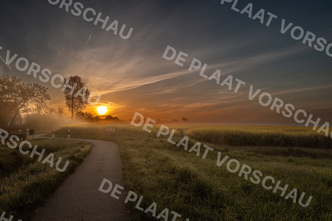 Fotografie eines Sonnenaufgangs über einem Weg und Feld